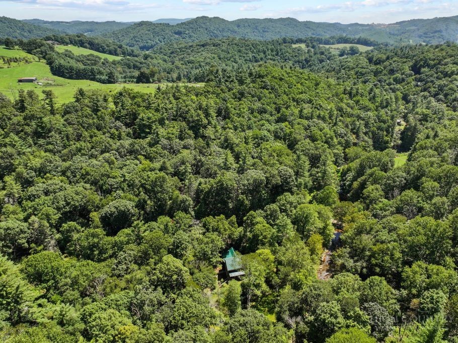 171 Grouse Covert Road Boone, NC 28607 - Photo 47 of 49 Gallery Image 47