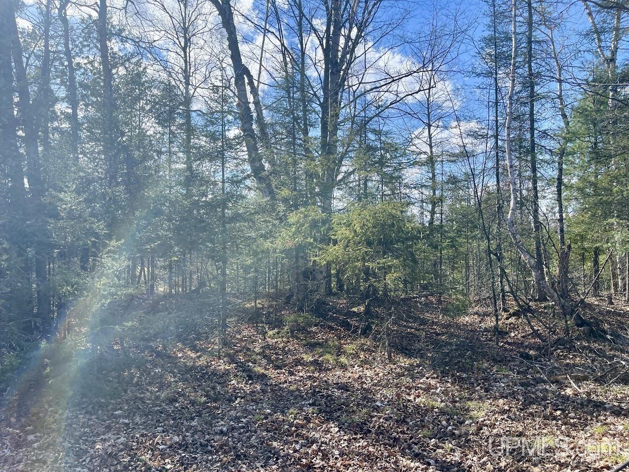 5 Rd Cornell Mi 49818 Road Cornell, MI 49818 - Photo 8 of 9
