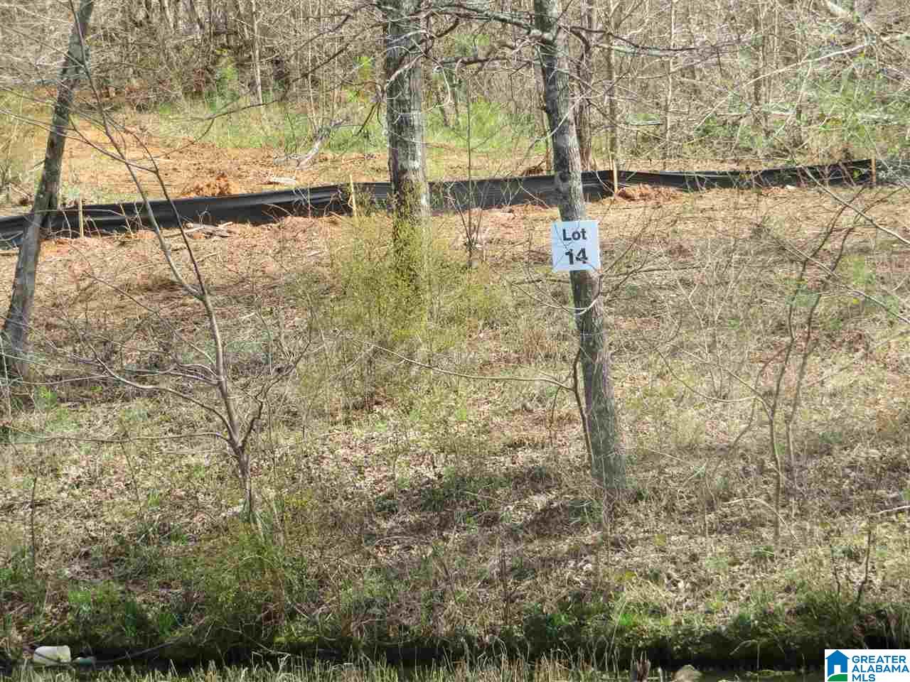 Lot 14 Eagle Point Trace, Unit 14 Alexander City, AL 35010 - Photo 2 of 13