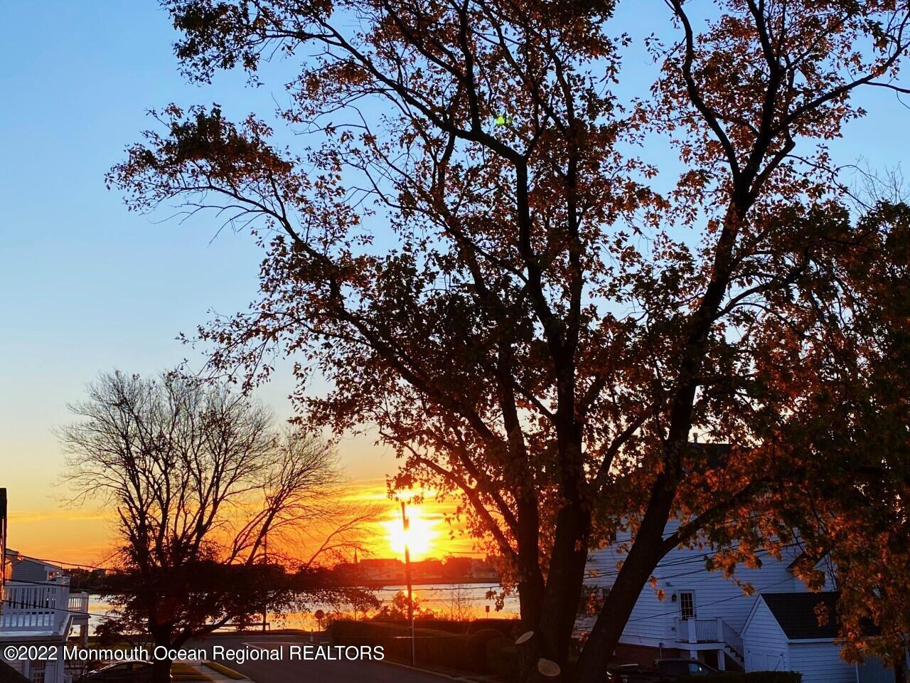 408 Central Avenue Spring Lake, NJ 07762 - Photo 45 of 46 a picture of tree