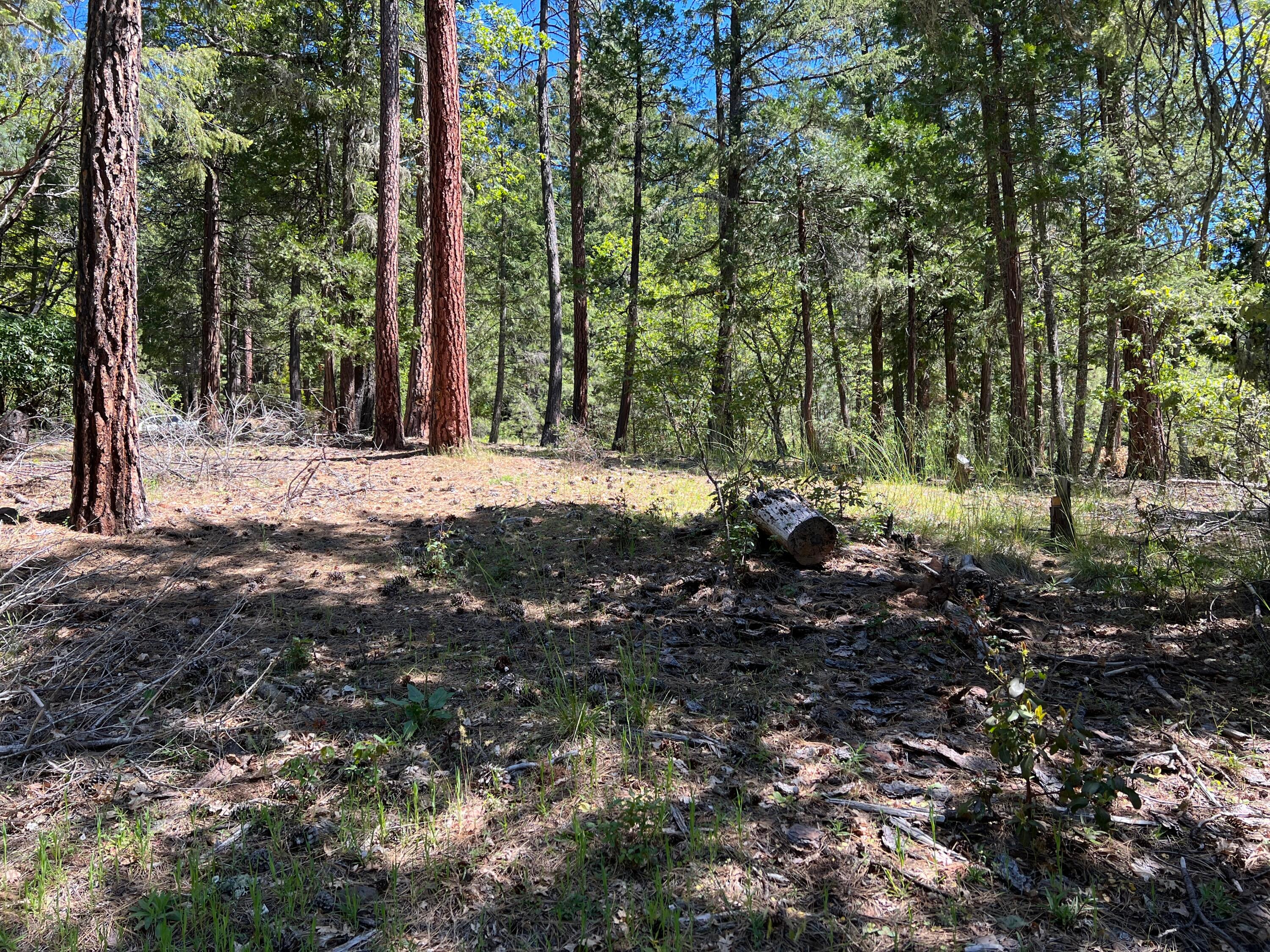 348 Flounce Rock Road Prospect, OR 97536 - Photo 11 of 12 Gallery Image 11