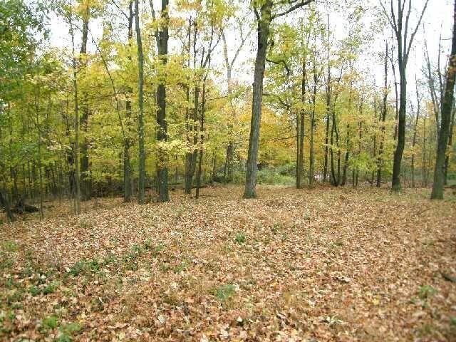 10001 Weaver Road Newark, OH 43055 - Photo 2 of 6 Weaver