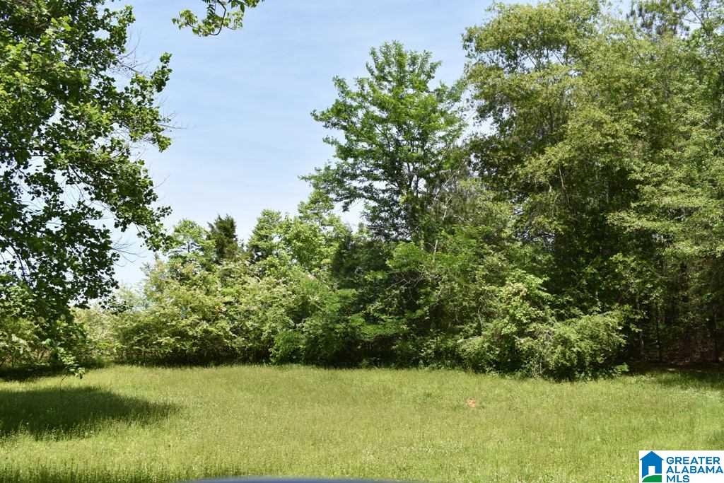 432 County Road, Unit 6A Woodland, AL 36280 - Photo 5 of 8