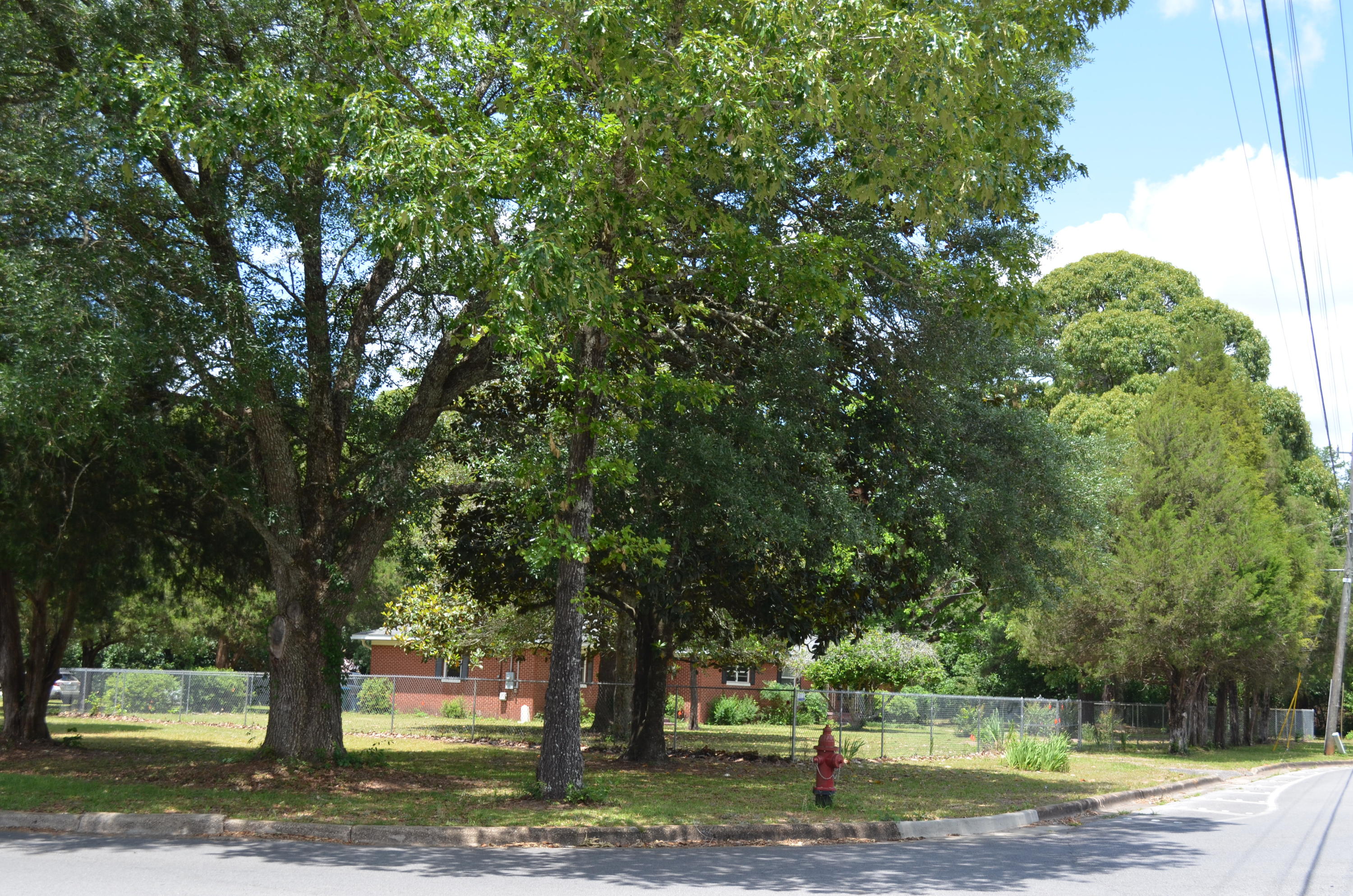 201 Jones Road Crestview, FL 32536 - Photo 11 of 54 DSC_0500