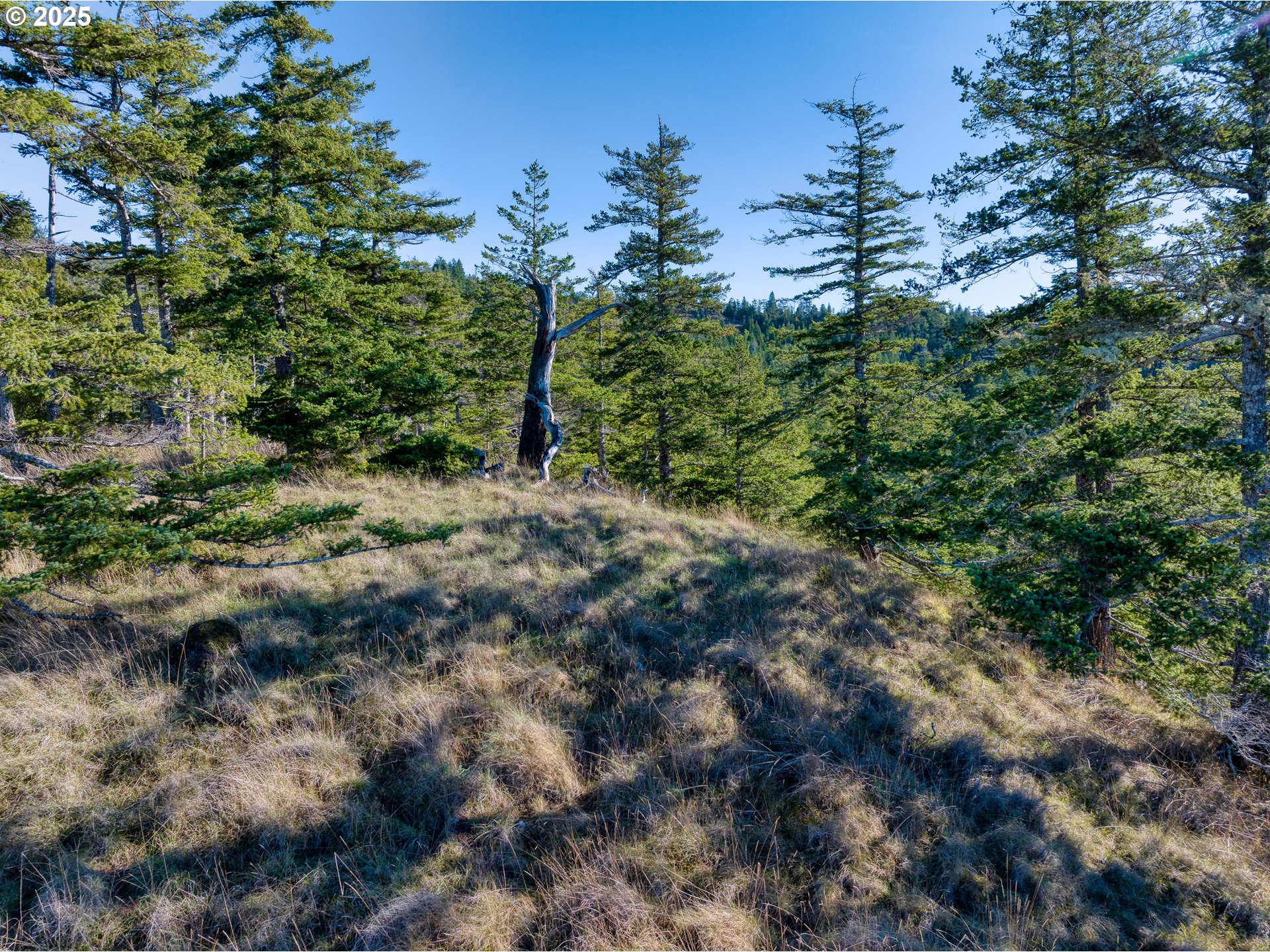 Indian Hills, Unit 2900 Gold Beach, OR 97444 - Photo 18 of 36