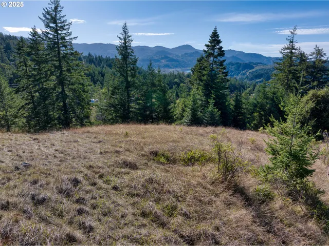a view of a yard with a mountain