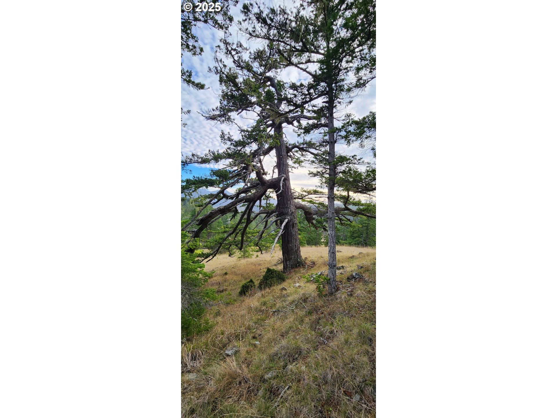 Indian Hills, Unit 2900 Gold Beach, OR 97444 - Photo 24 of 36