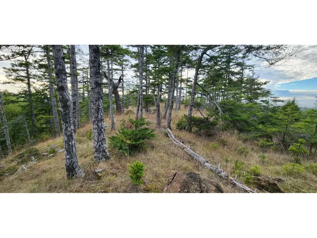 a bathroom with a sink