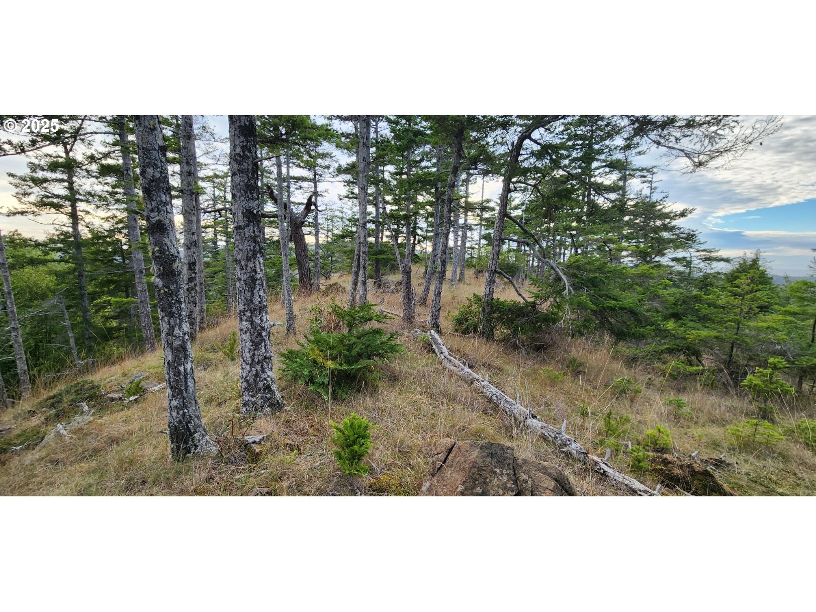 Indian Hills, Unit 2900 Gold Beach, OR 97444 - Photo 27 of 36