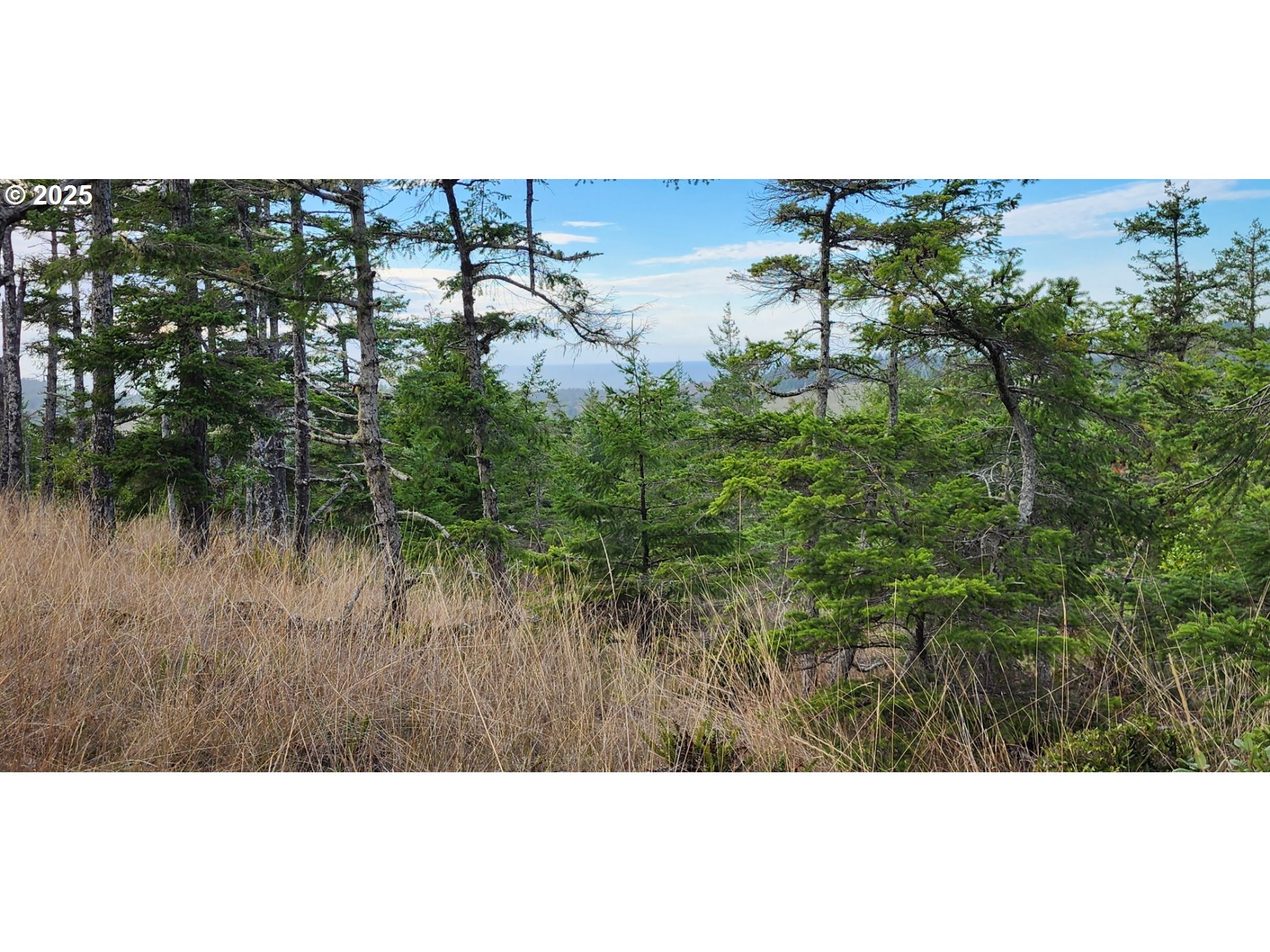 Indian Hills, Unit 2900 Gold Beach, OR 97444 - Photo 29 of 36