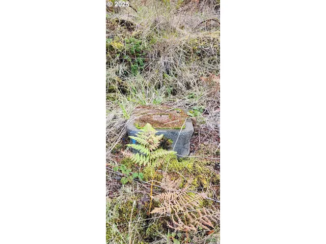 an aerial view of a residential houses and city view