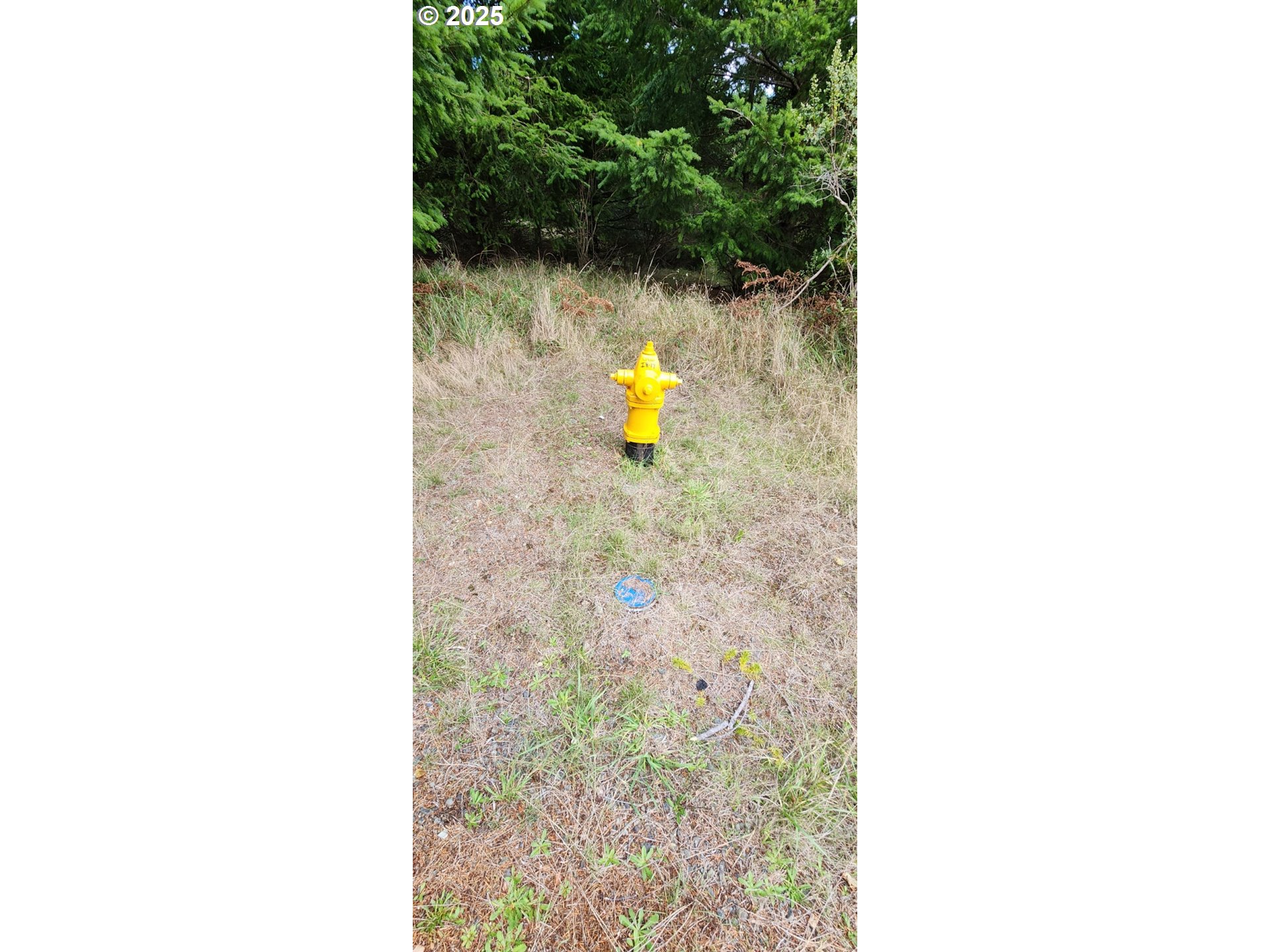 Indian Hills, Unit 2900 Gold Beach, OR 97444 - Photo 31 of 36