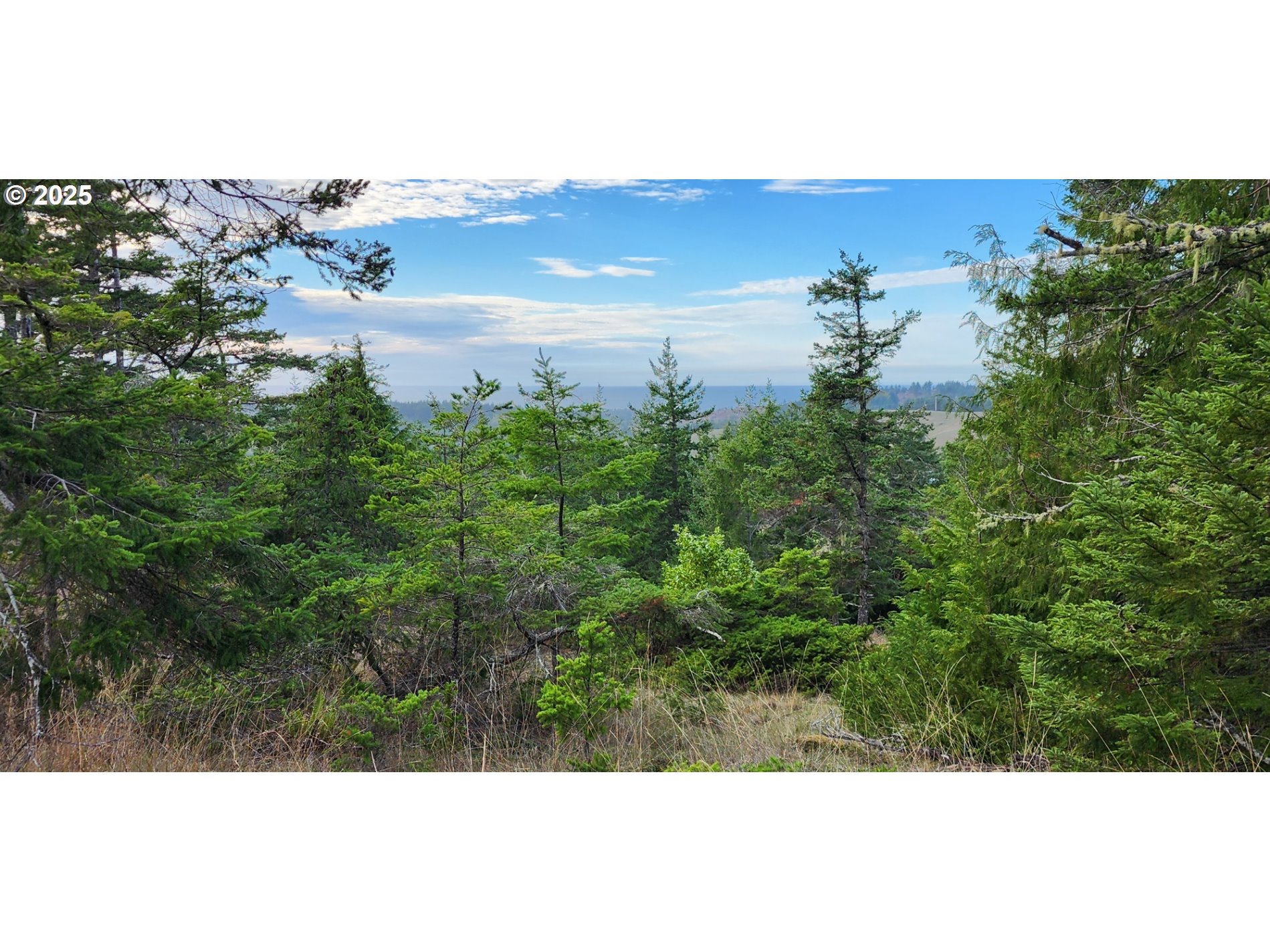 Indian Hills, Unit 2900 Gold Beach, OR 97444 - Photo 4 of 36 View