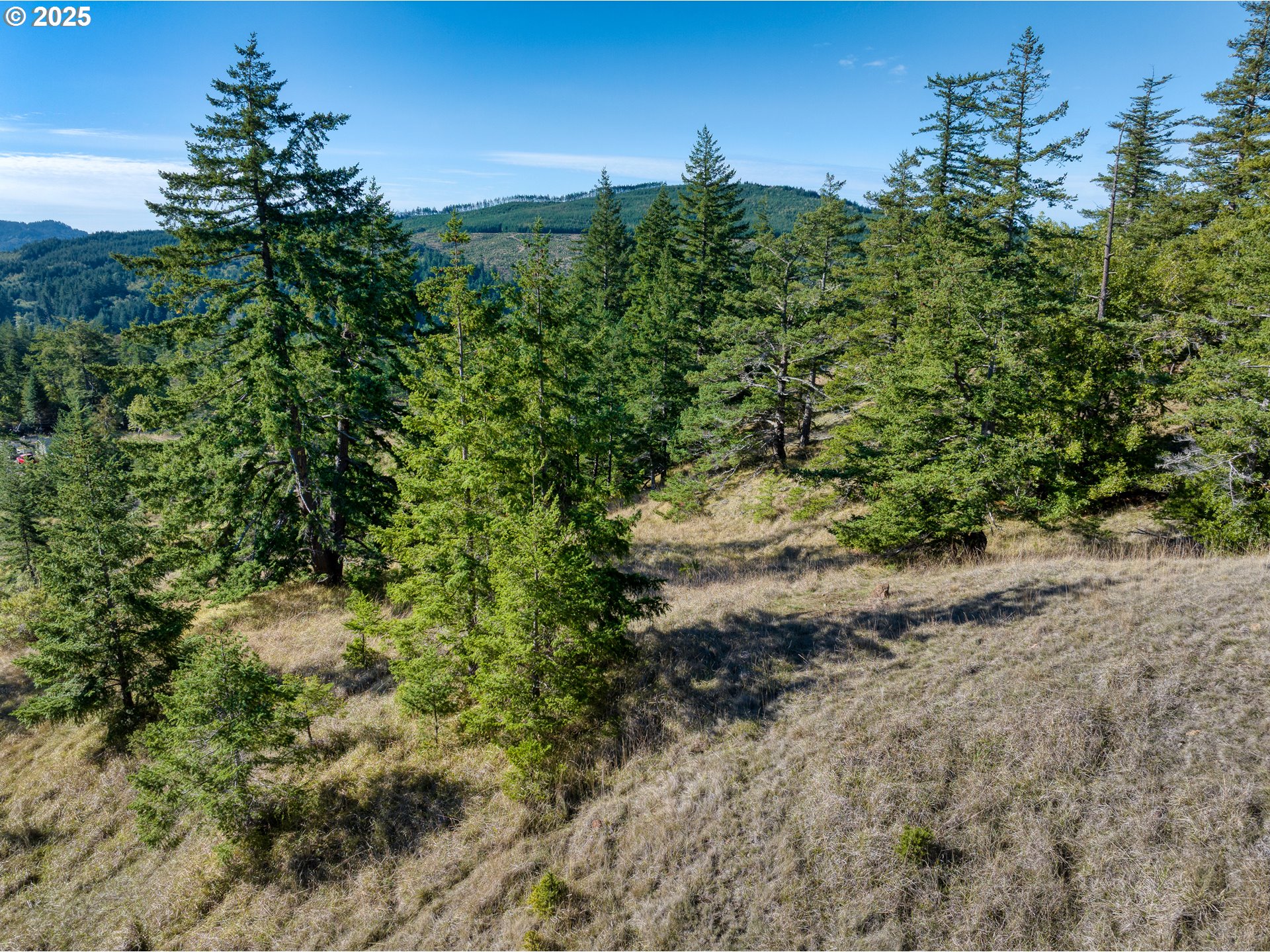 Indian Hills, Unit 2900 Gold Beach, OR 97444 - Photo 7 of 36