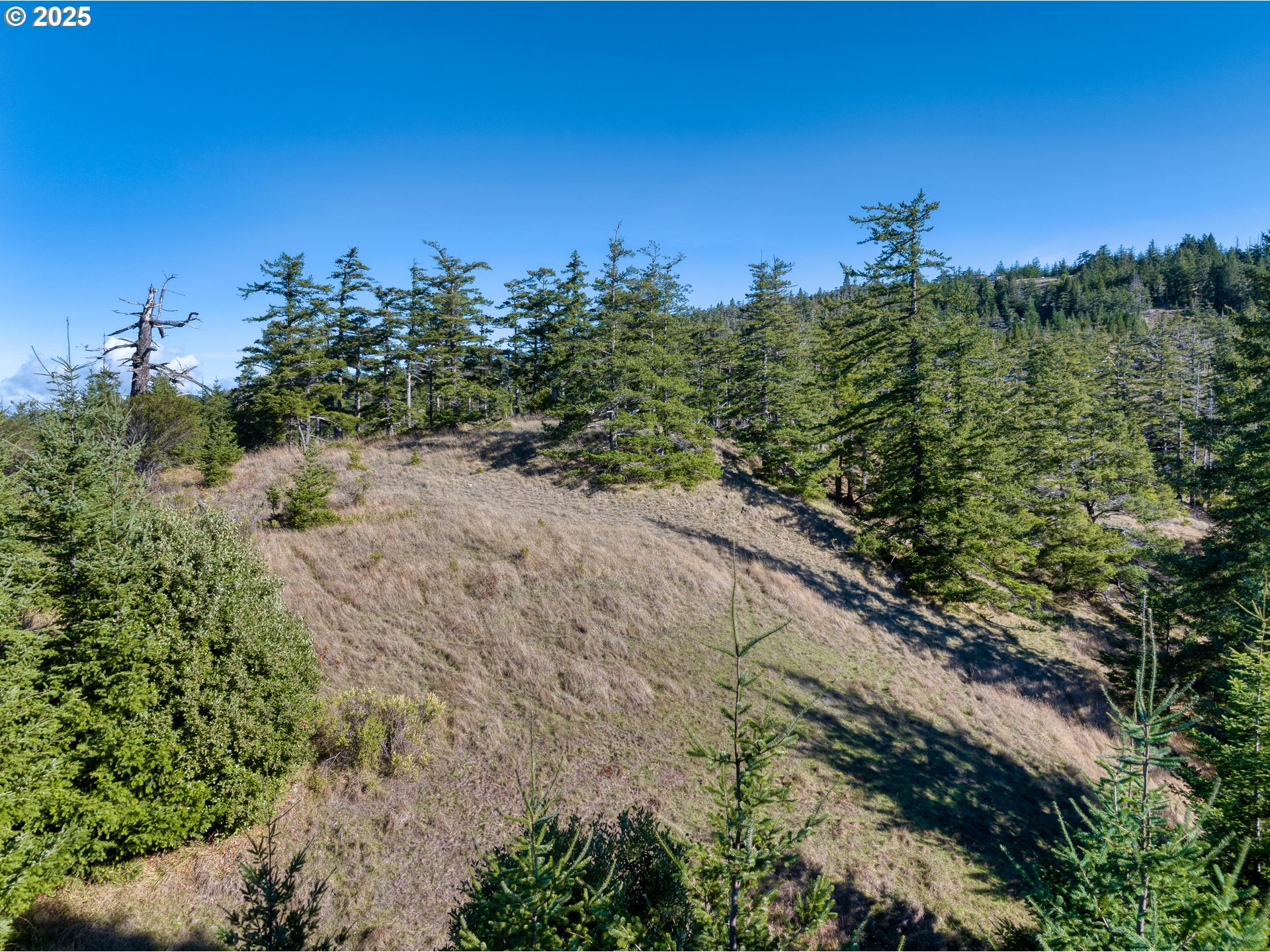 Indian Hills, Unit 2900 Gold Beach, OR 97444 - Photo 9 of 36