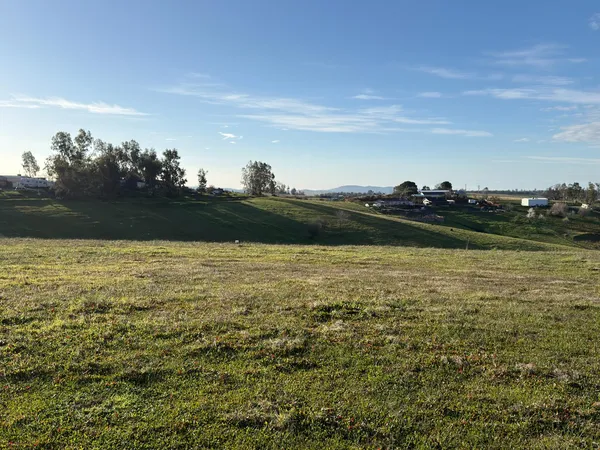a view of a field with an ocean