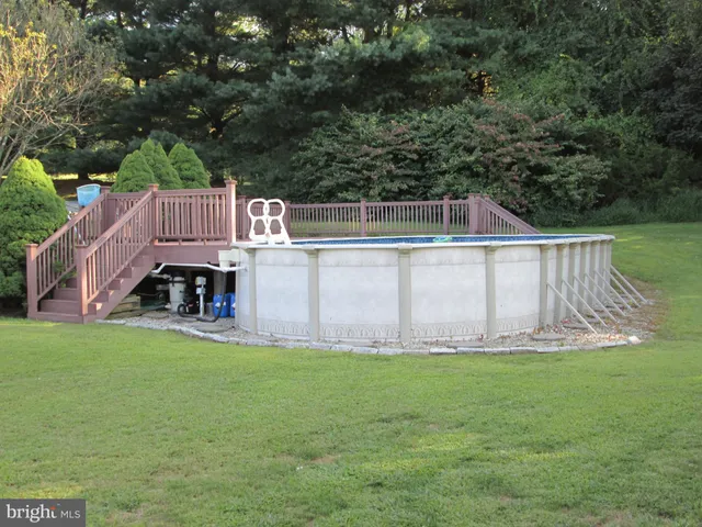 a view of swimming pool with lawn chairs and a large tree