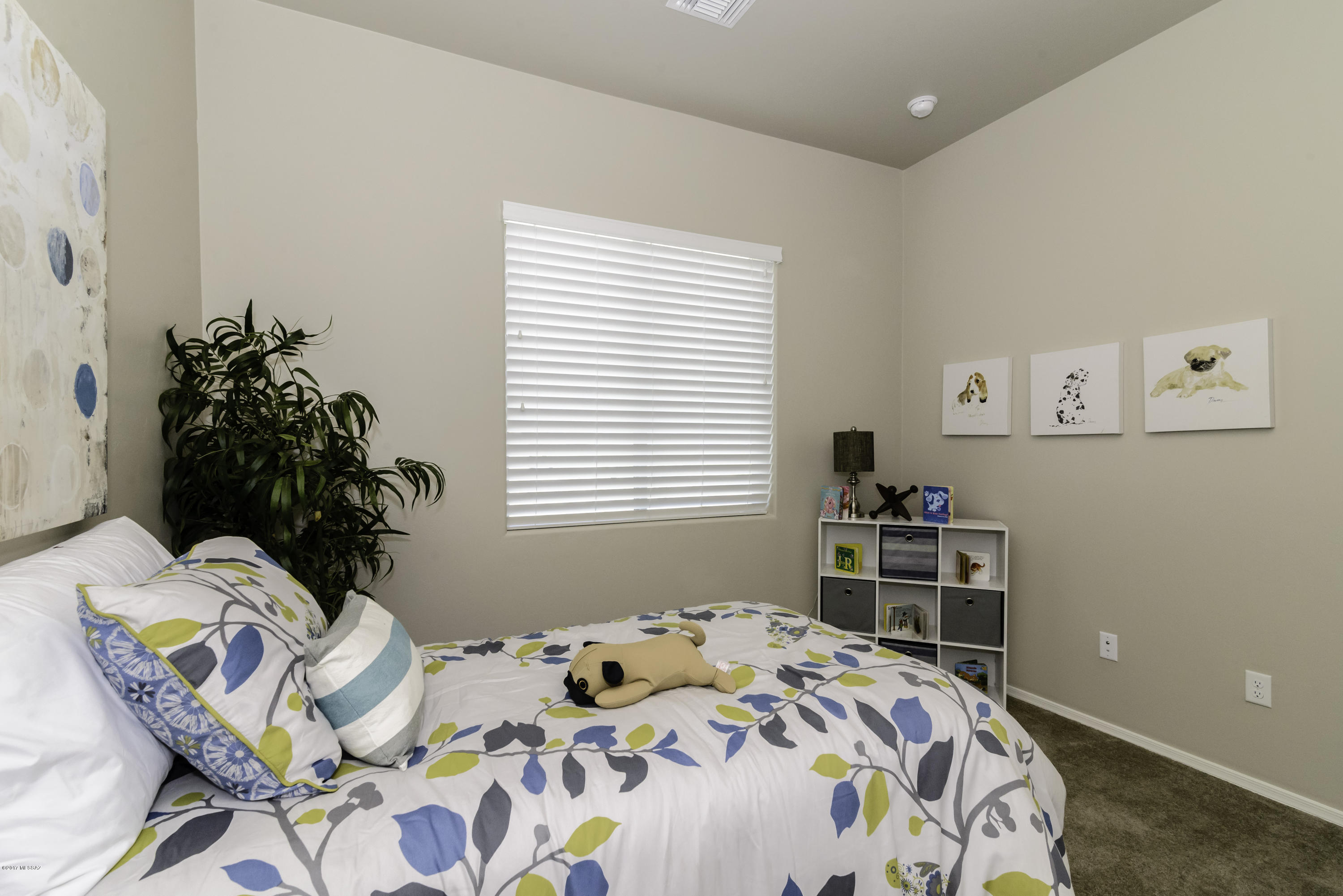 12243 Creosote Valley Road Vail, AZ 85641 - Photo 11 of 22 Gallery Image 11