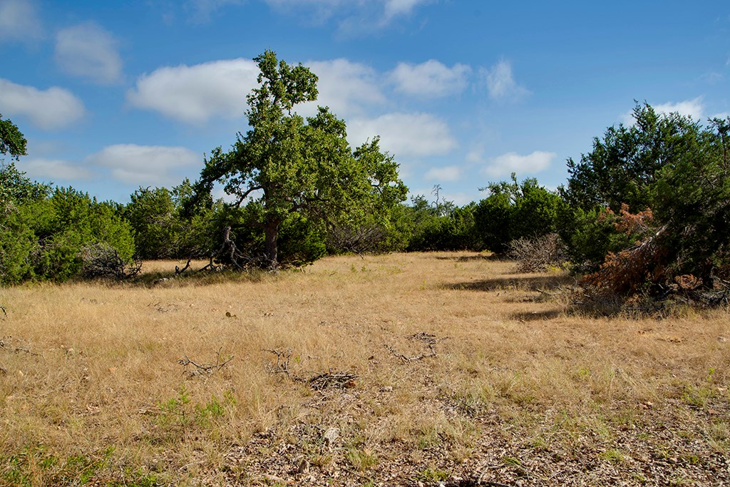 0 Reeh-Weinheimer Road Fredericksburg, TX 78624 - Photo 13 of 25 Gallery Image 13