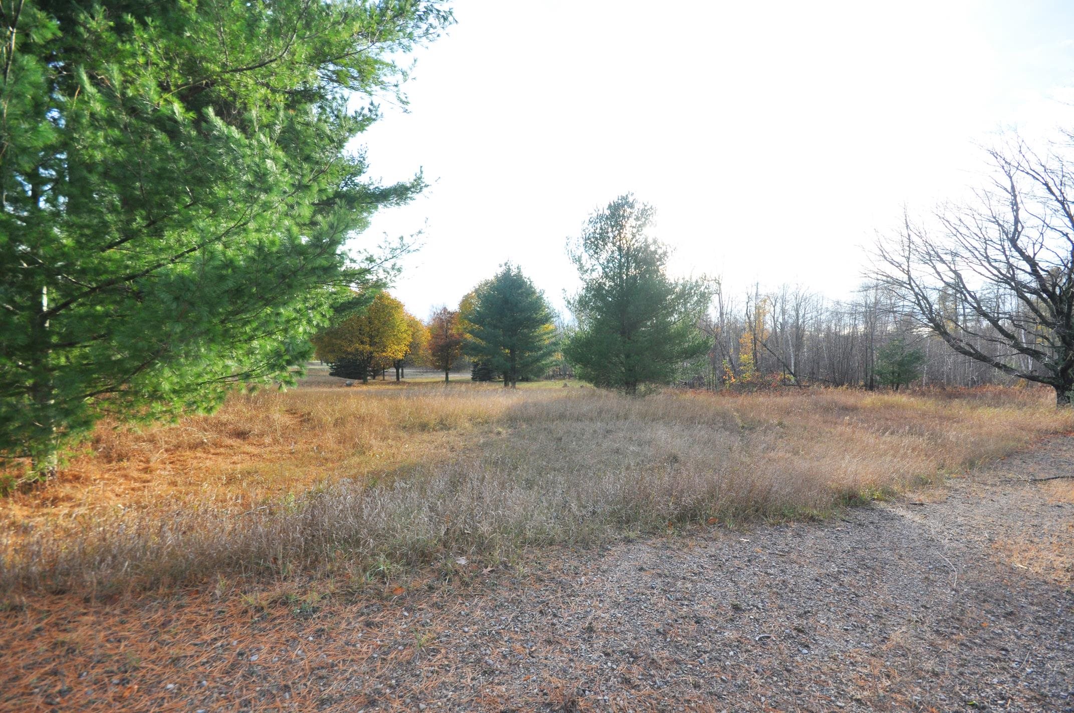 0 South Dunns Farm Road Maple City, MI 49664 - Photo 4 of 12