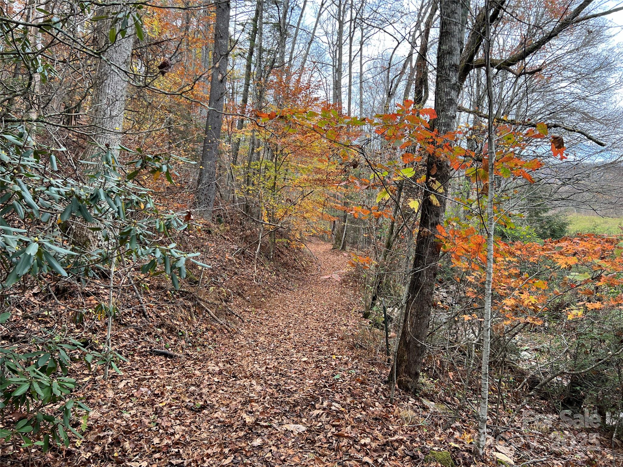 Tbd Tbd Horse Branch Road Lenoir, NC 28645 - Photo 4 of 23 a backyard of a building