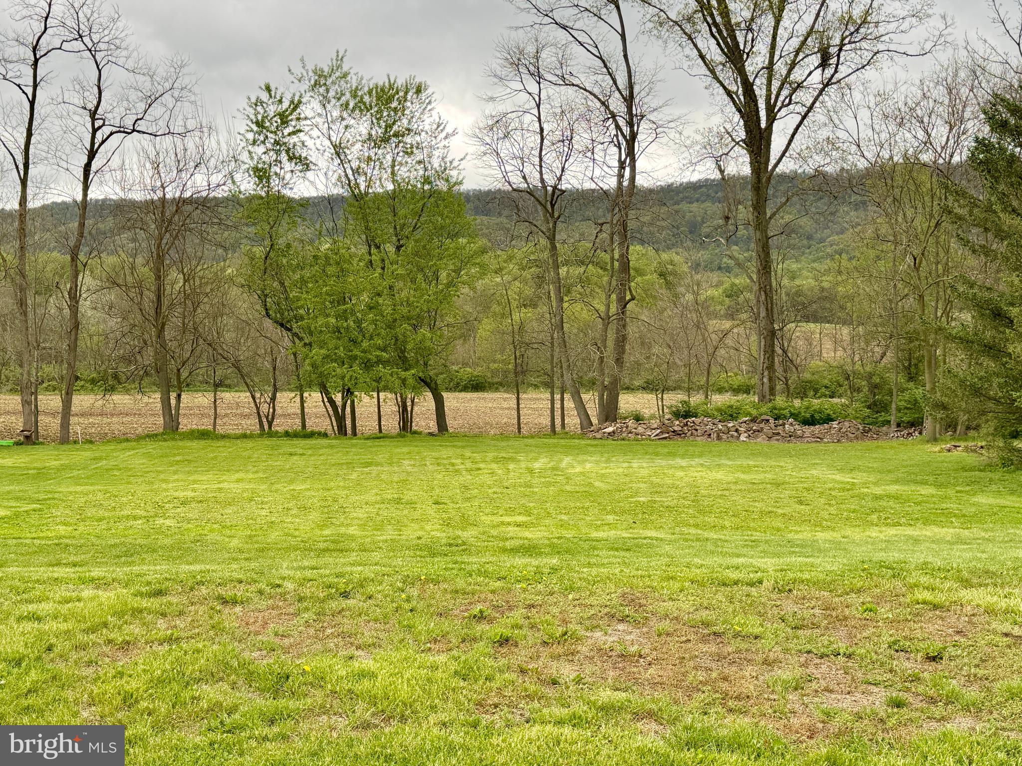 1771 Lower Snake Spring Road Everett, PA 15537 - Photo 10 of 36