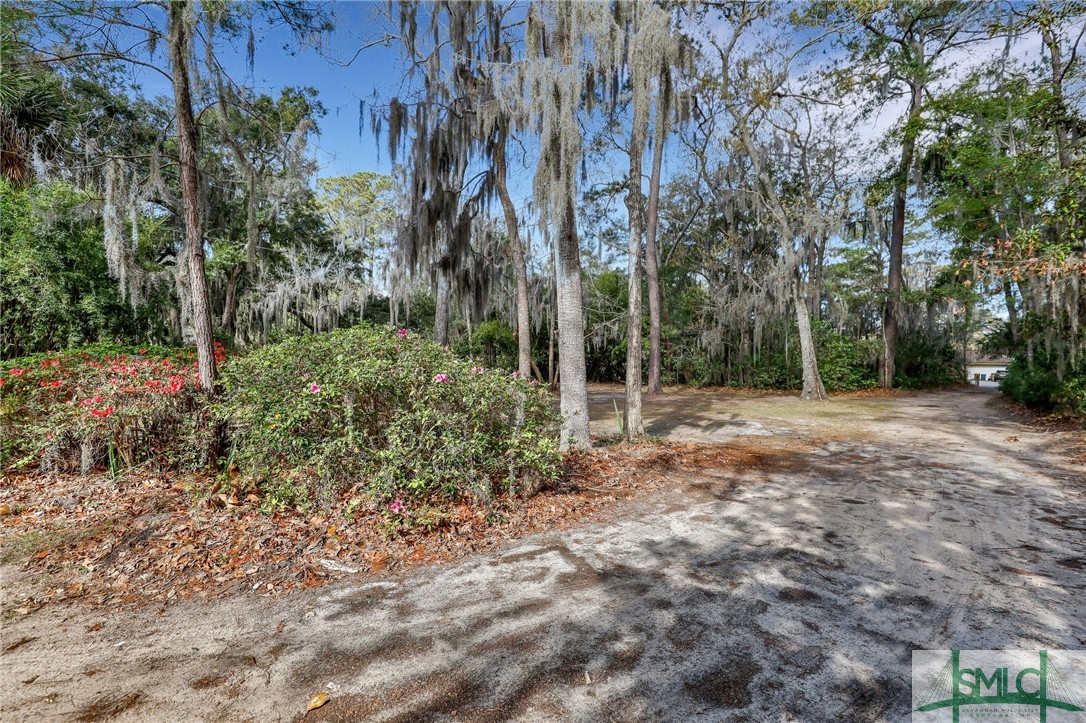 243 Suncrest Boulevard Savannah, GA 31410 - Photo 42 of 43