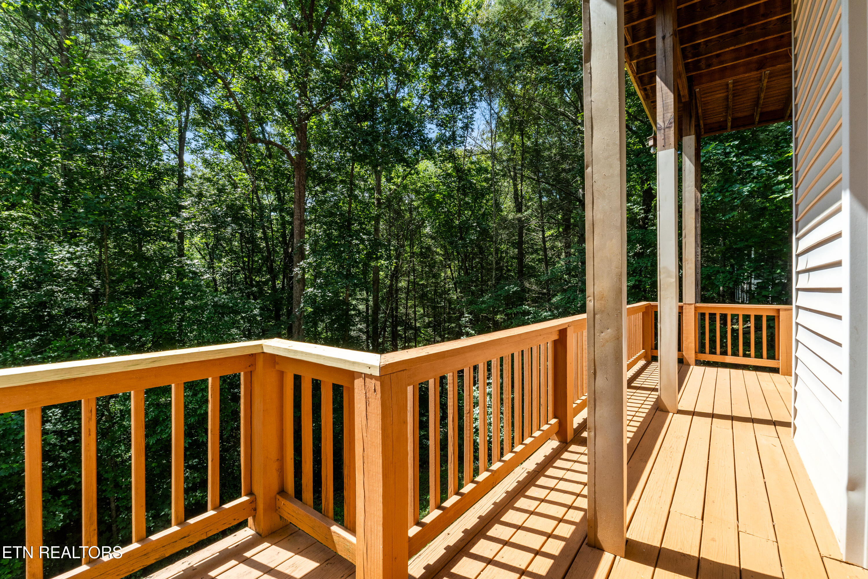 122 Lakeside Trace Townsend, TN 37882 - Photo 25 of 57 DSC00671-2