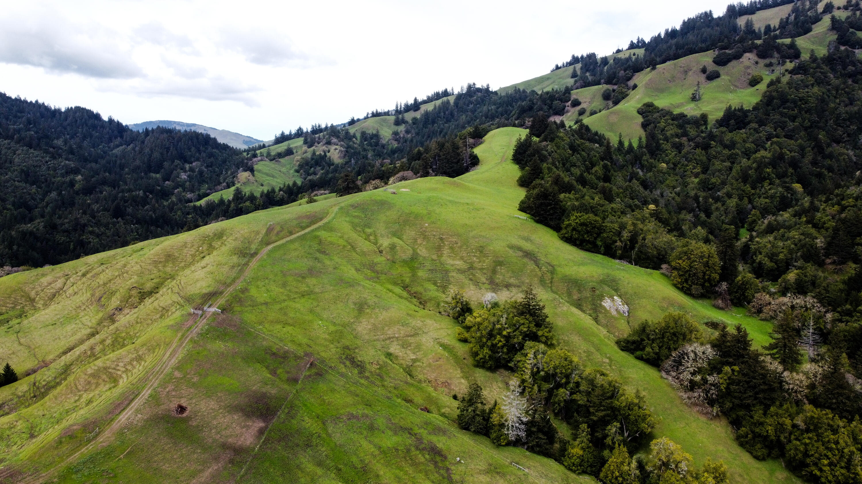 4001 Conklin Creek Road Ferndale, CA 95536 - Photo 72 of 125