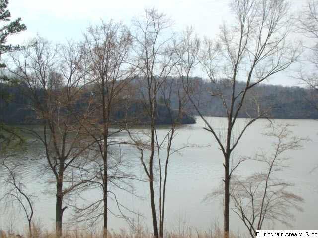 Mohawk Bluff Drive Ohatchee, AL 36271 - Photo 2 of 5