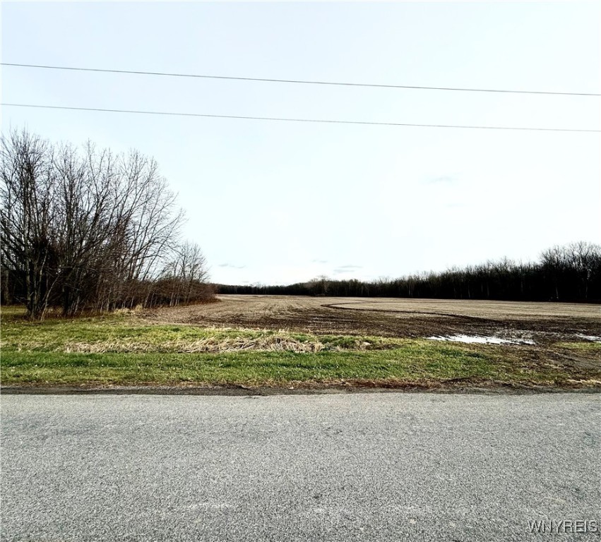 2728 Marshall Road Ridgeway, NY 14103 - Photo 5 of 6 Across street from house-expansive country views