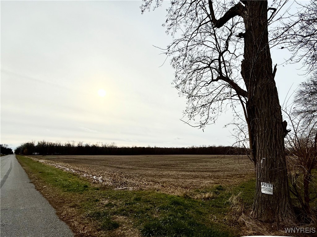 2728 Marshall Road Ridgeway, NY 14103 - Photo 6 of 6 Quiet country view from house and street