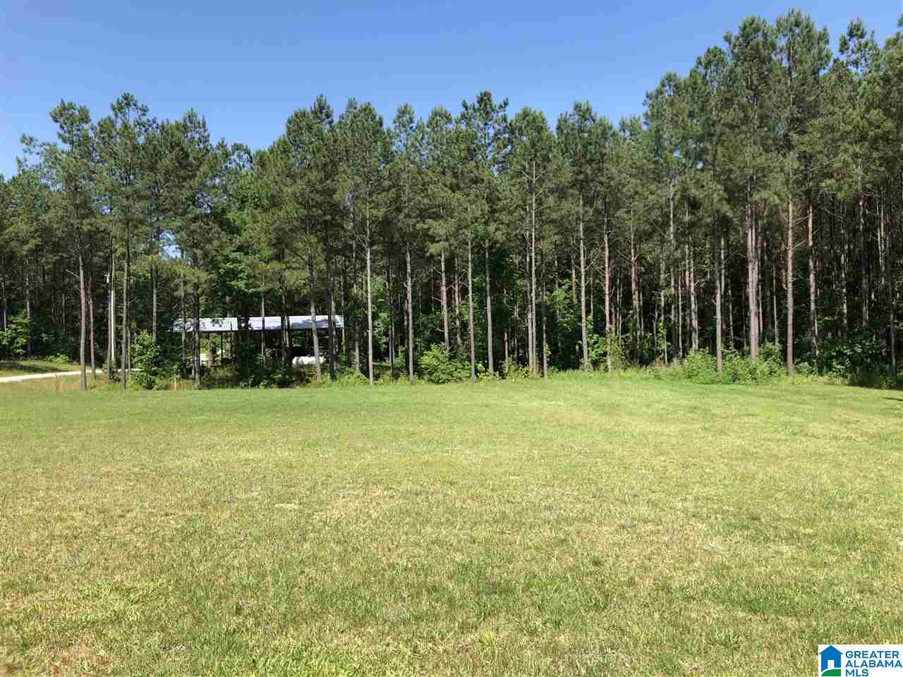 1210 Florida Road Pell City, AL 35125 - Photo 39 of 50