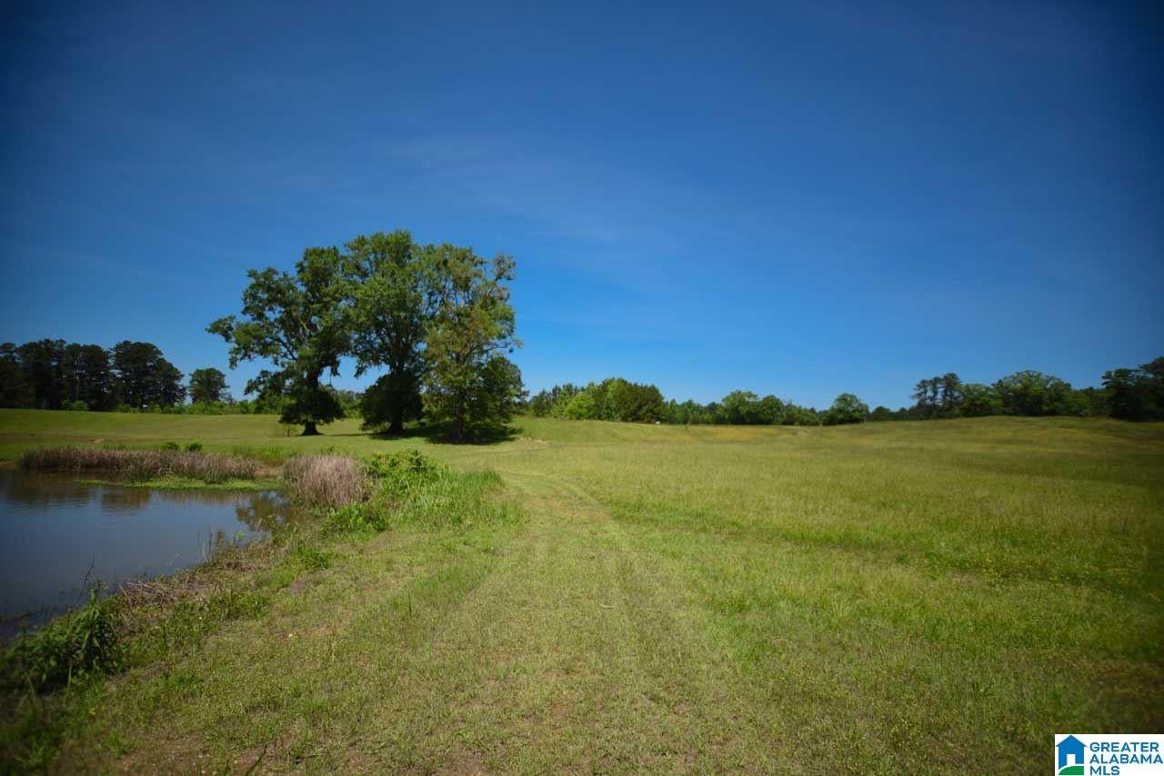 1641 Embry Bend Road Lincoln, AL 35096 - Photo 48 of 50 Gallery Image 48