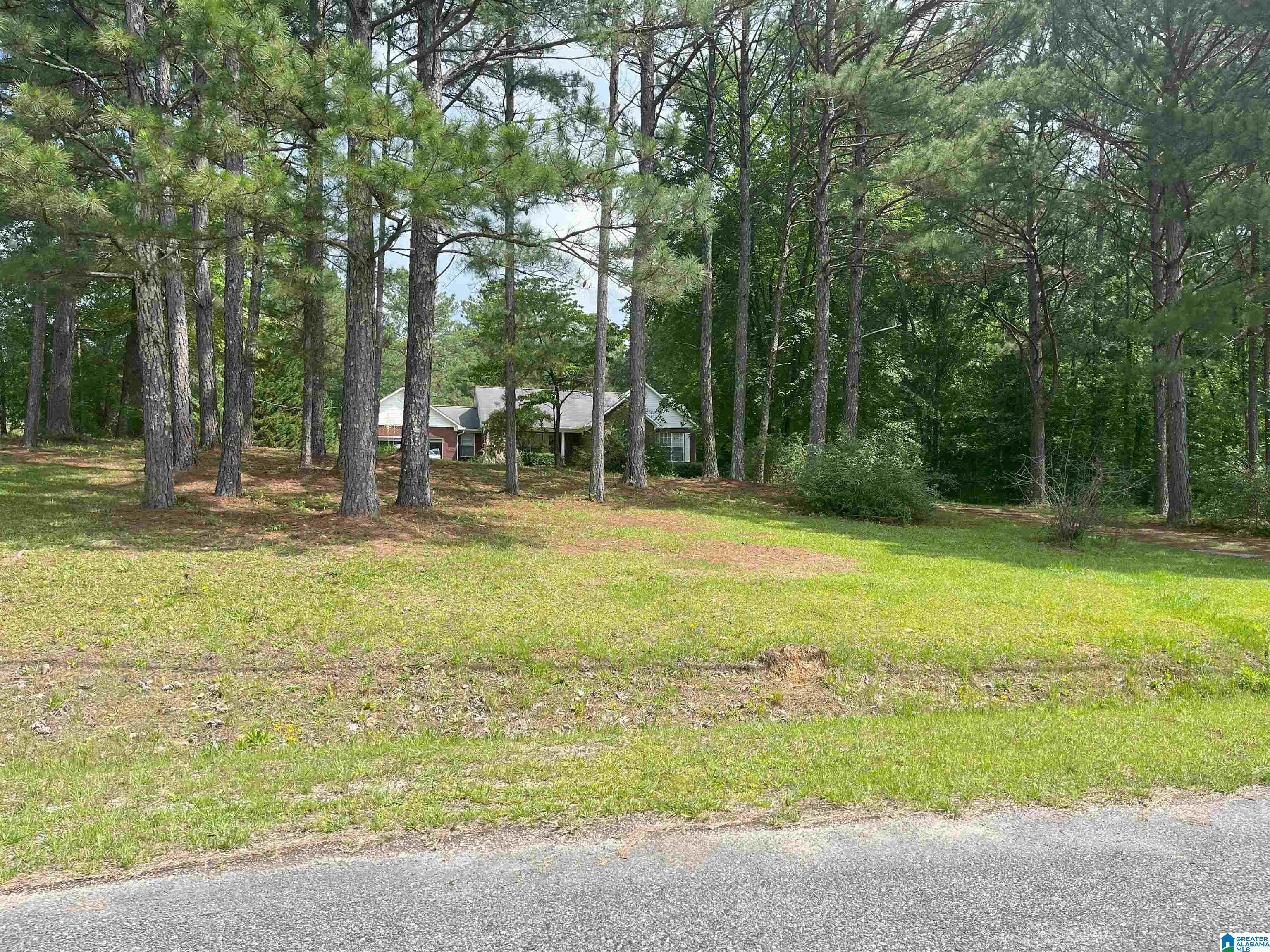 252 Timber Trail Ashville, AL 35953 - Photo 3 of 18