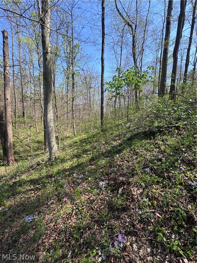 397 South Elliott Road Malta, OH 43758 - Photo 20 of 37