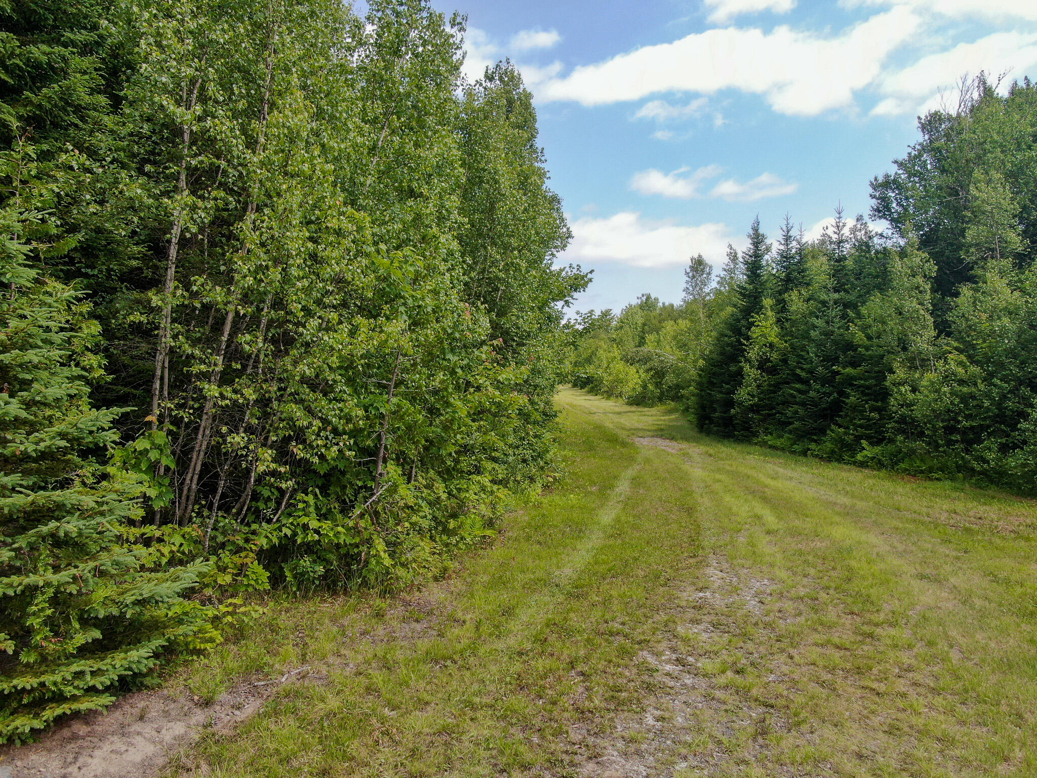 M11-l11 Sheepskin Road Carroll Plt, ME 04487 - Photo 5 of 47 3