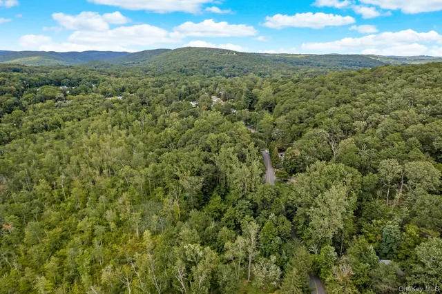 a view of a city with lush green forest