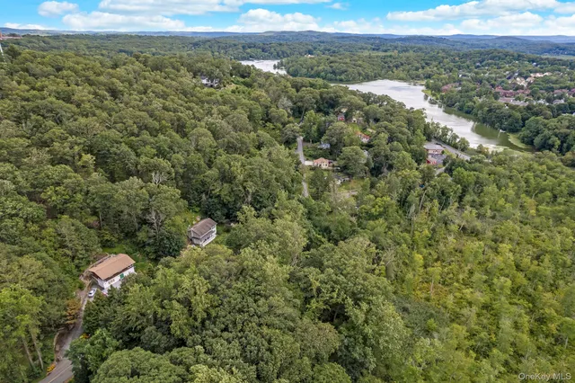 a view of a city with lush green forest