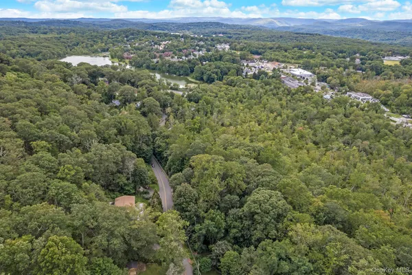 an aerial view of forest