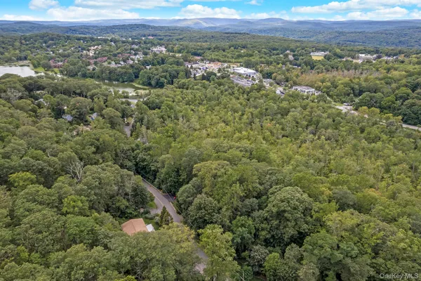 a view of a city with lush green forest