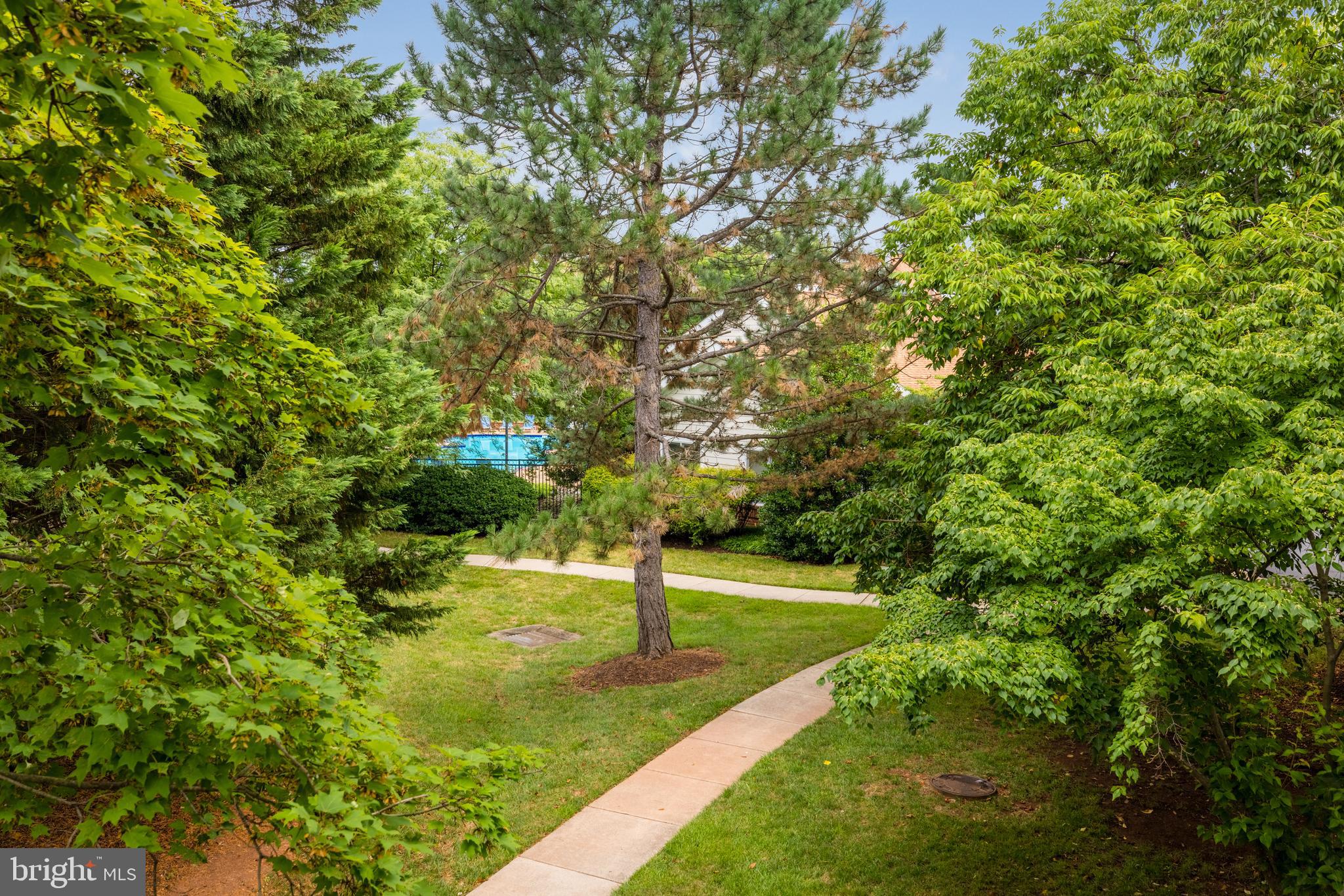 20977 Timber Ridge Terrace, Unit 204 Ashburn, VA 20147 - Photo 25 of 27 Beautiful Setting