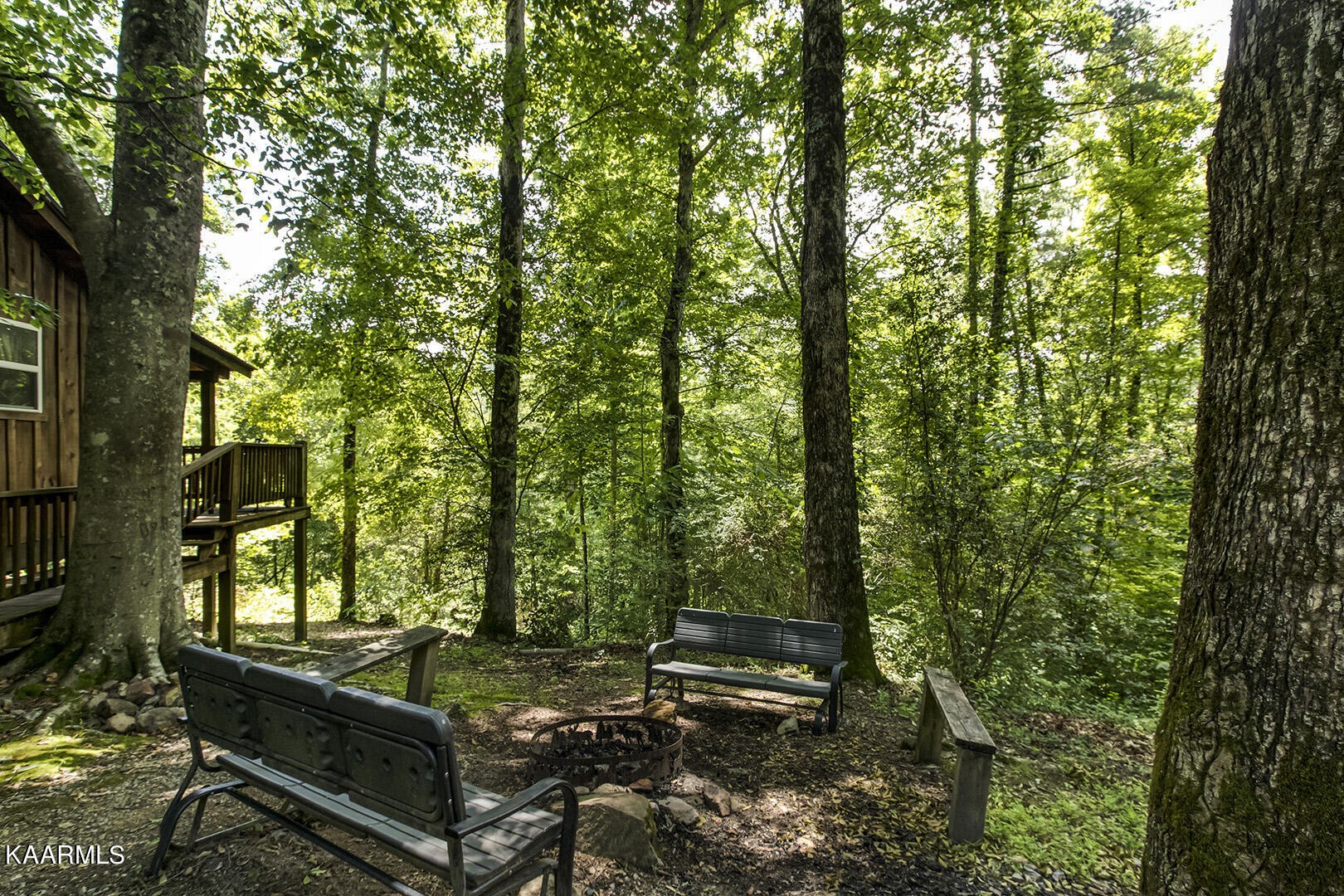 332 Lost Creek Road Reliance, TN 37369 - Photo 56 of 58 Gallery Image 56