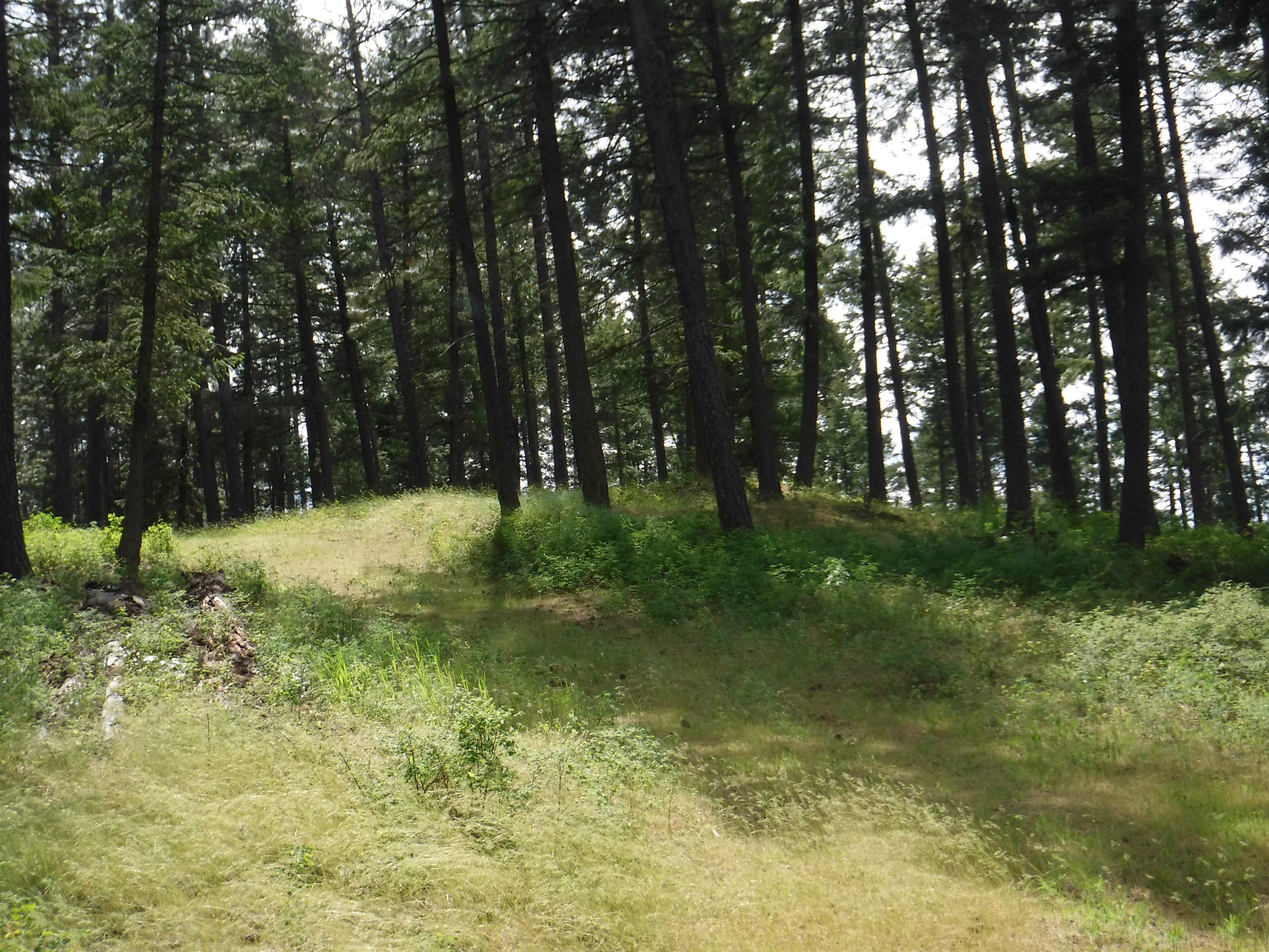 Xx East Woolard Road Colbert, WA 99005 - Photo 10 of 23