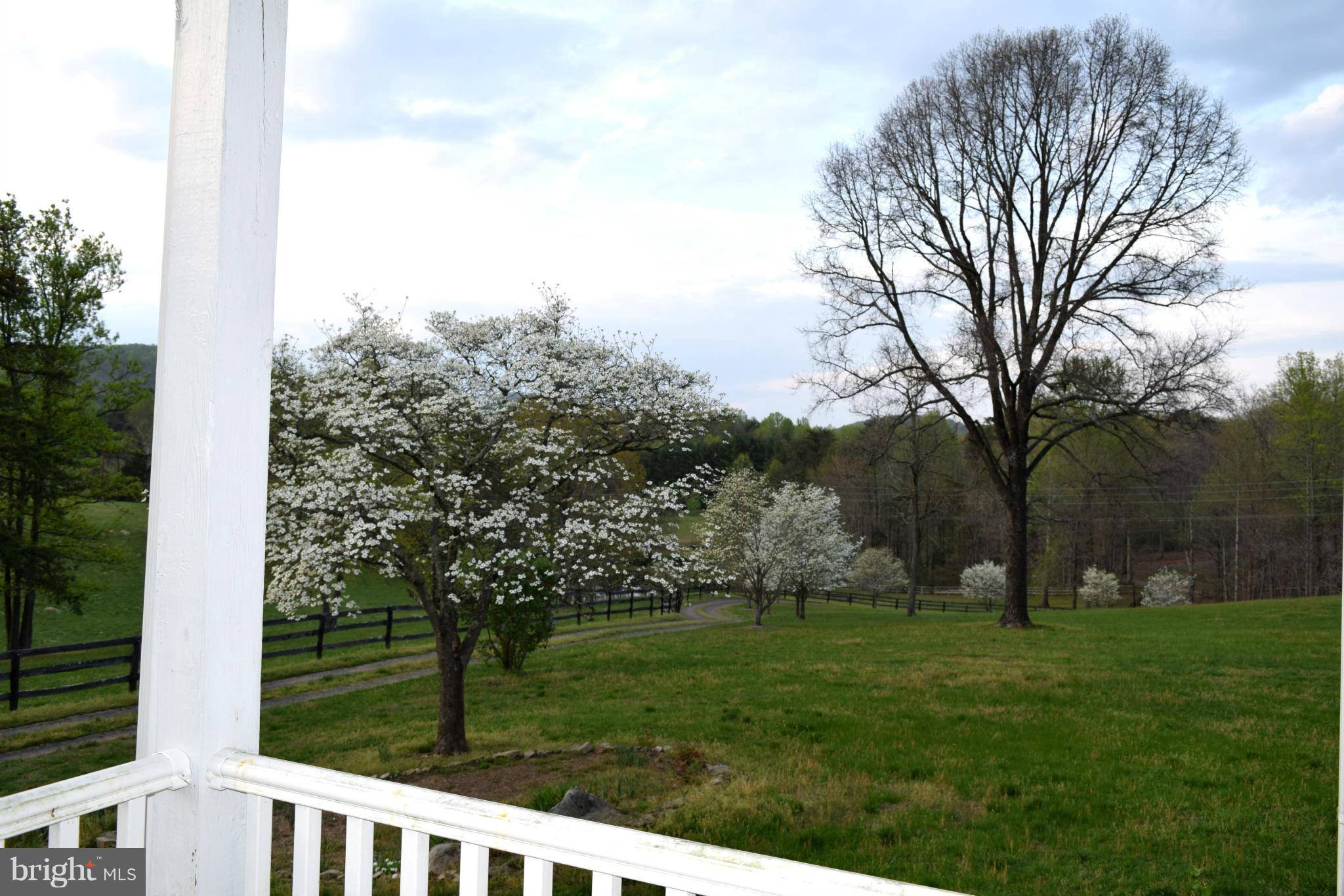 110 Persistence Lane Castleton, VA 22716 - Photo 17 of 24