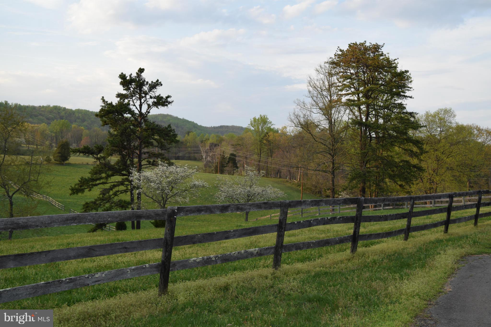 110 Persistence Lane Castleton, VA 22716 - Photo 3 of 24 a view of outdoor space and yard