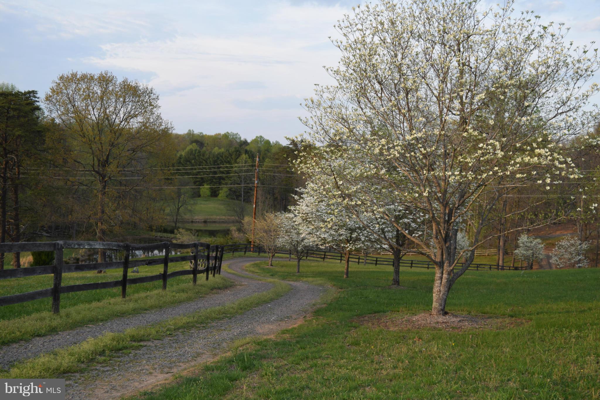 110 Persistence Lane Castleton, VA 22716 - Photo 5 of 24 a view of a park with large trees