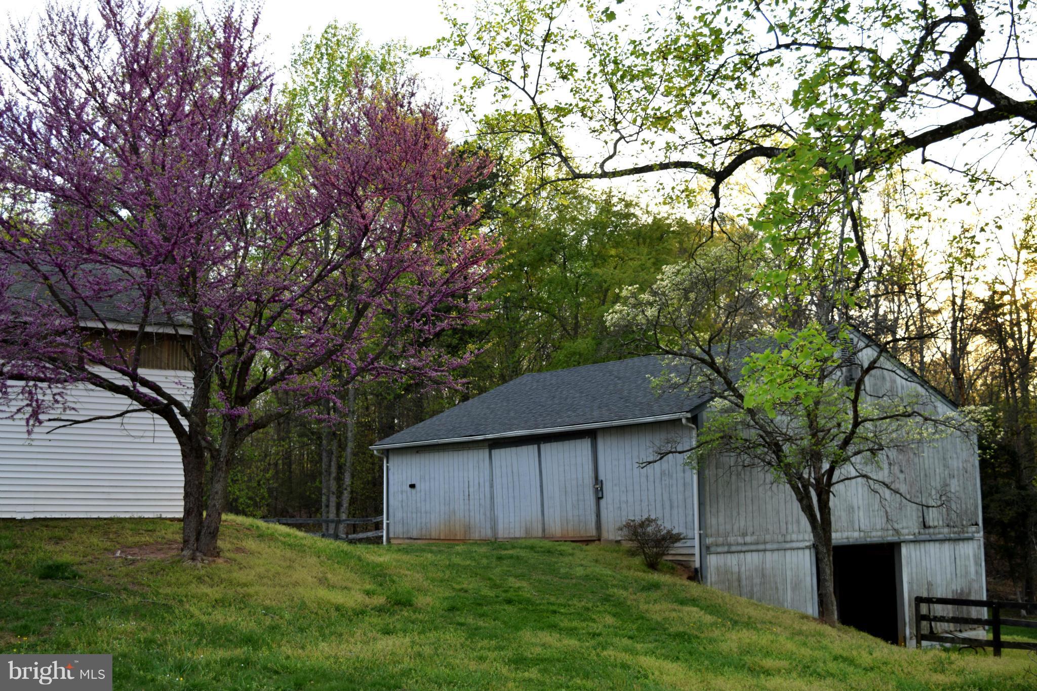 110 Persistence Lane Castleton, VA 22716 - Photo 8 of 24 a view of backyard with green space