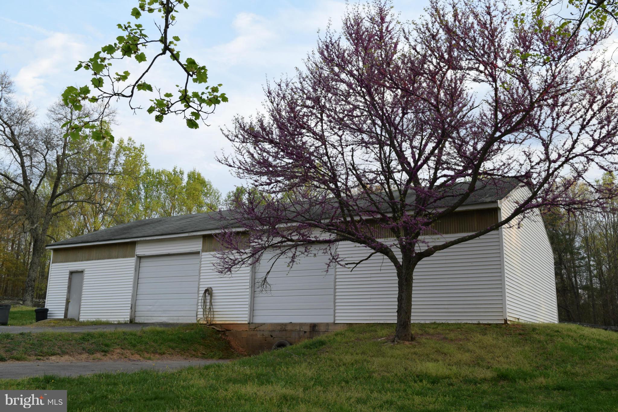 110 Persistence Lane Castleton, VA 22716 - Photo 9 of 24 a view of a yard with large trees