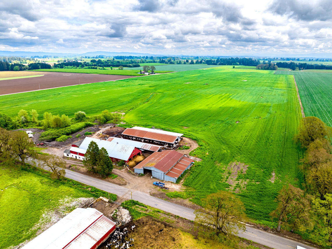 10101 Southeast Webfoot Road Dayton, OR 97114 - Photo 3 of 32 10101 SE Webfoot Rd Drone MLS 1